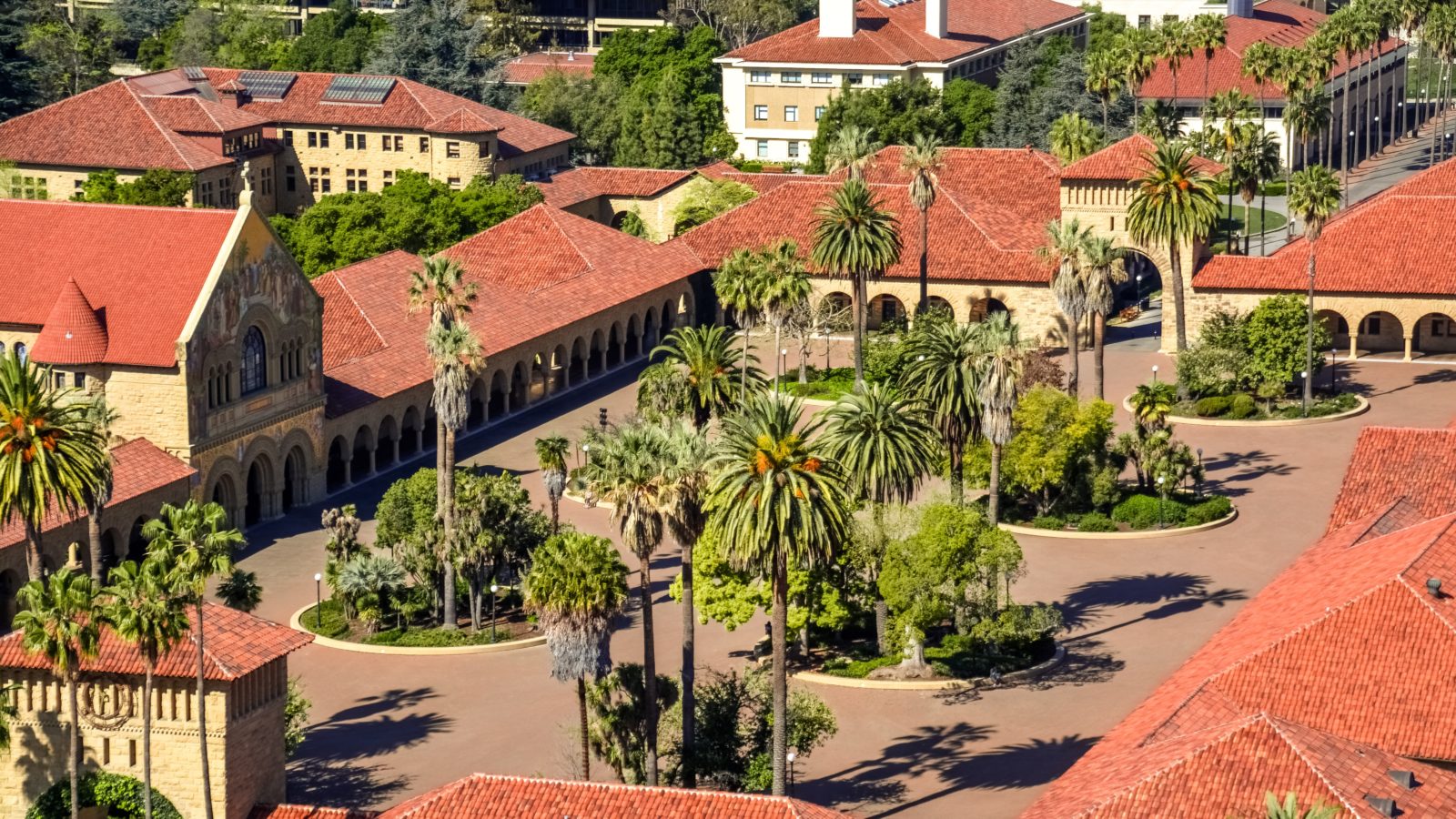 outdoor campus with palm trees and orange roofs